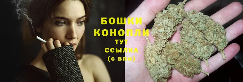 продажа наркотиков  Десногорск  Канабис SATIVA & INDICA 